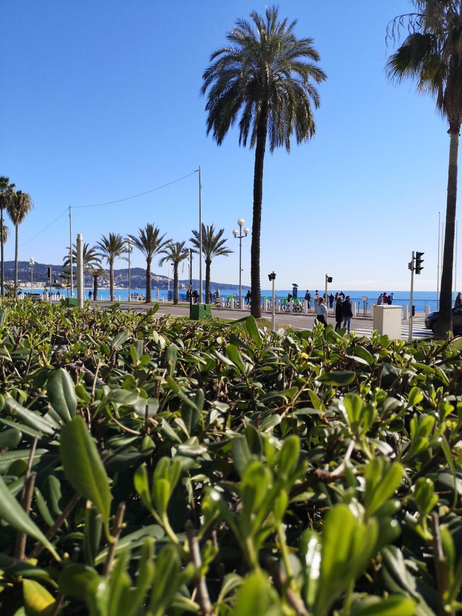 니스 Garden Atlantide Promenade 아파트 외부 사진